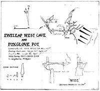 MSG J5 Eweleap West Cave and Foxglove Pot